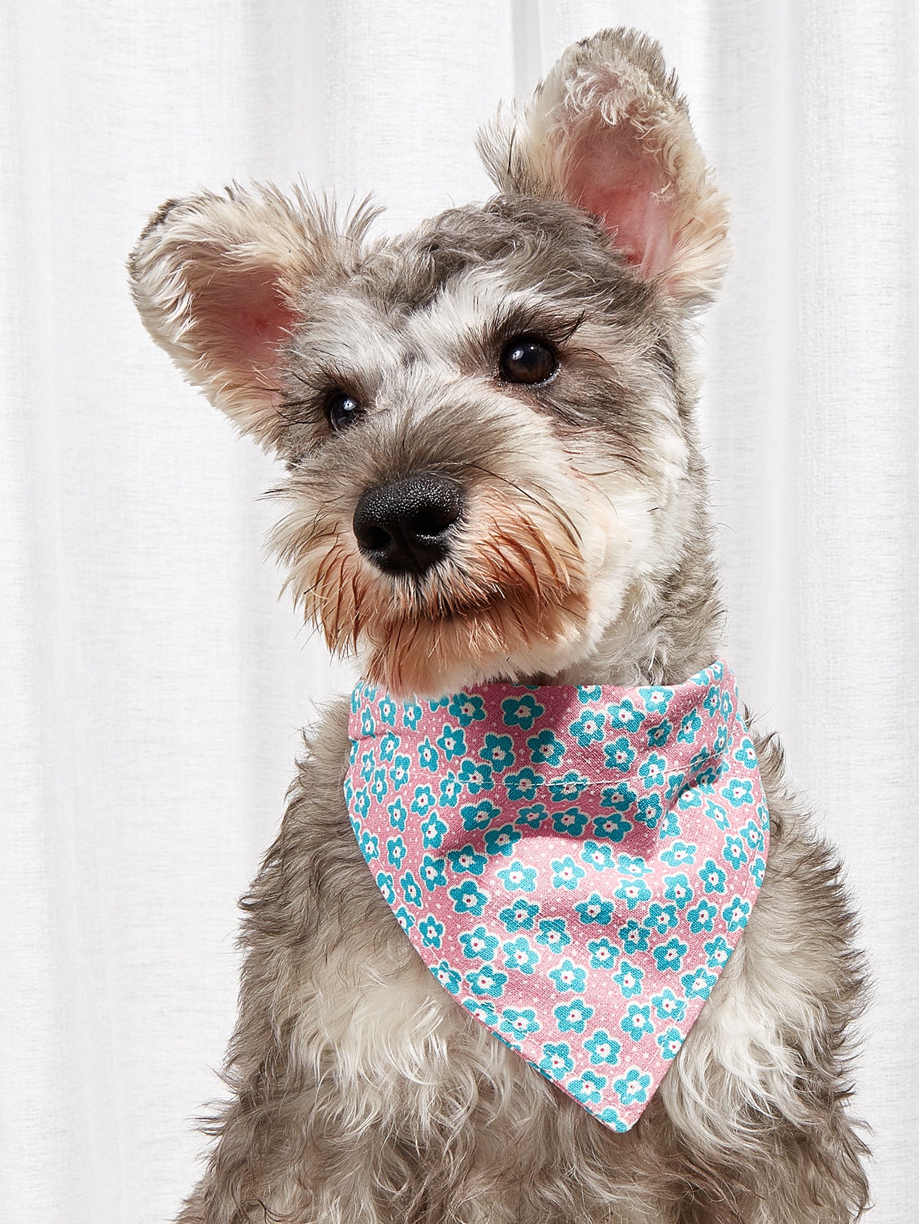 Cartoon Cotton Triangle Pet Bandana