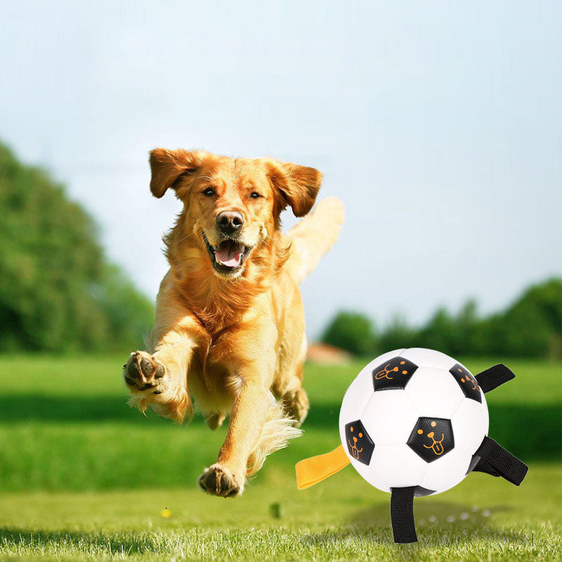Football Dog Toy with Rope