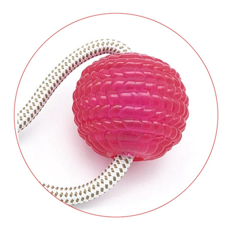 Suction Cup Molar Dog Chew Toy