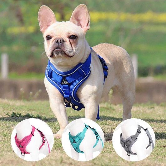 Reflective Breathable Mesh Vest Dog Harness with Matching Leash