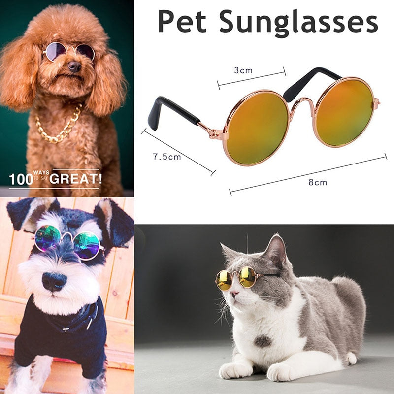 Fun Pet Sunglasses & Eyewear