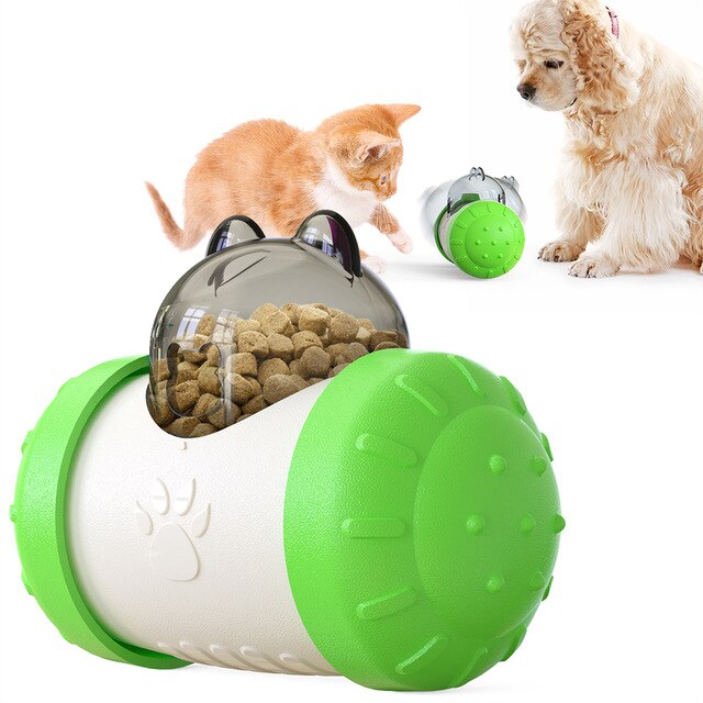 Food-Dispensing Swing Car Pet Toy
