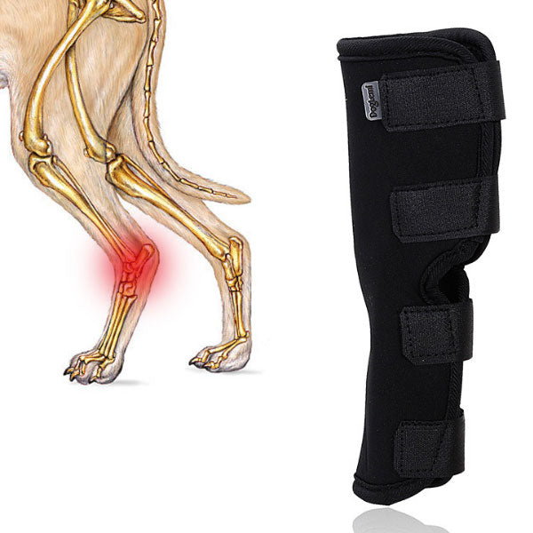 Neoprene Dog Hock Brace Rear Leg Joint Support for Injury Recovery
