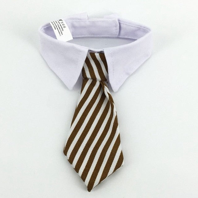 Cute Pet Bow Tie Set