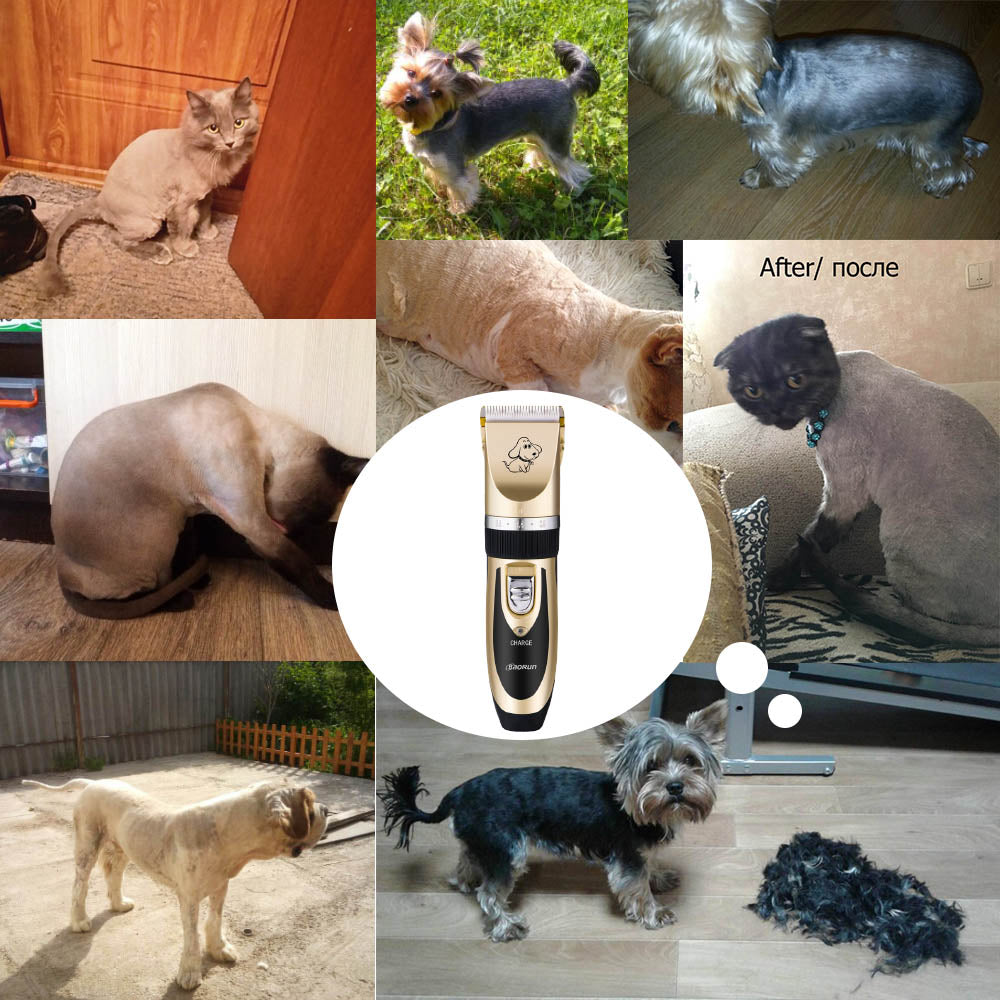 Cordless Pet Hair Trimmer Kit