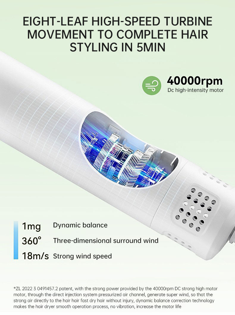Quiet Pet Hair Dryer & Comb
