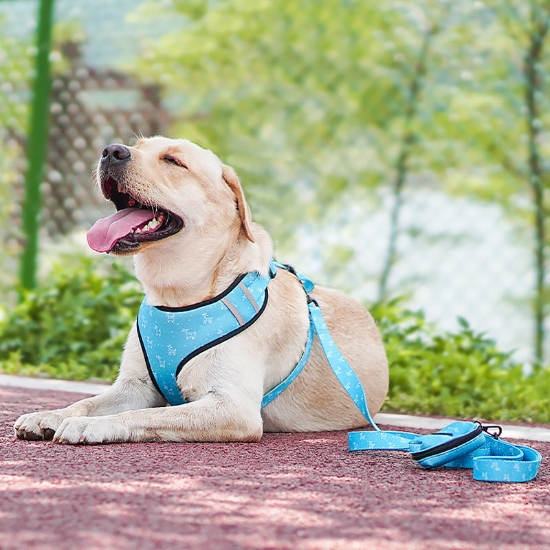 Printed Dog Chest Harness 6-Piece Set