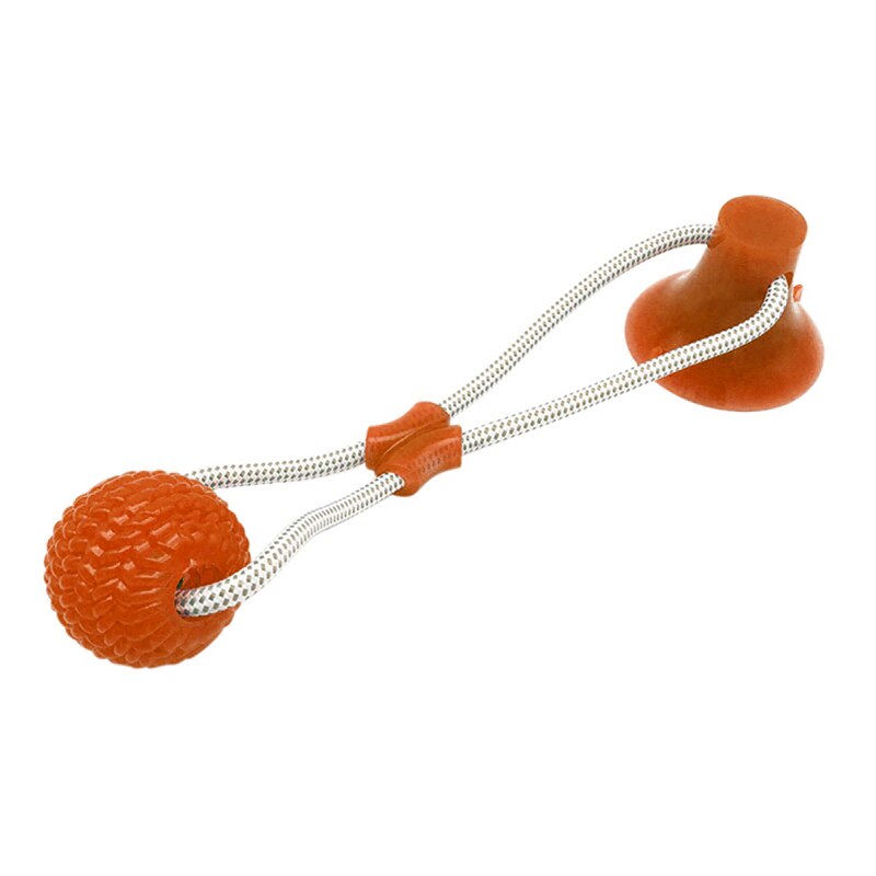Suction Cup Molar Dog Chew Toy