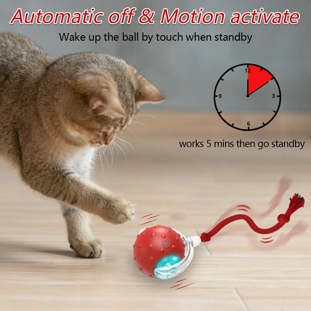 Motion-Activated Chirping Cat Ball Toy