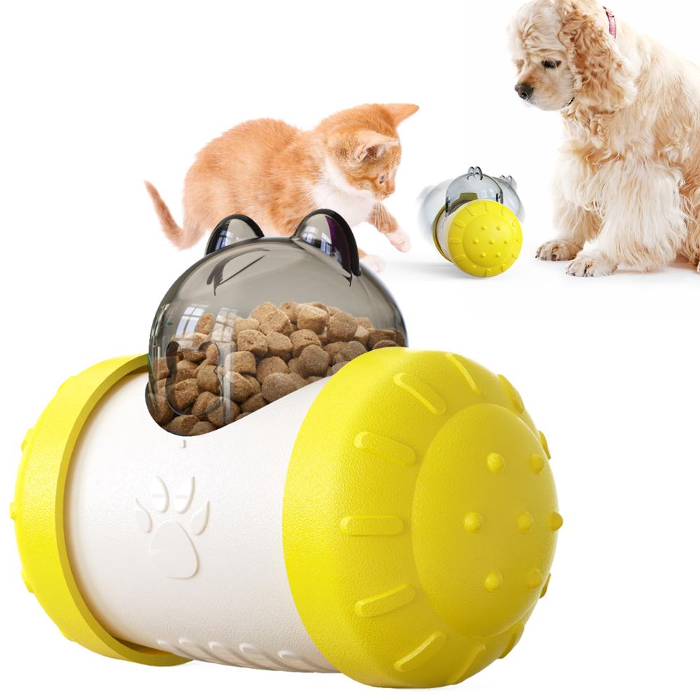Food-Dispensing Swing Car Pet Toy