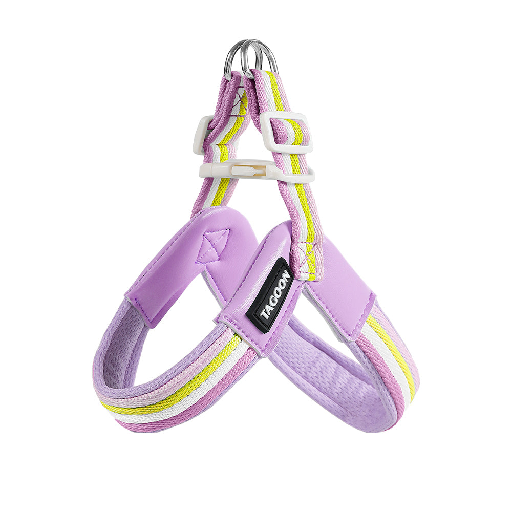 Vest-Style Dog Harness with Leash