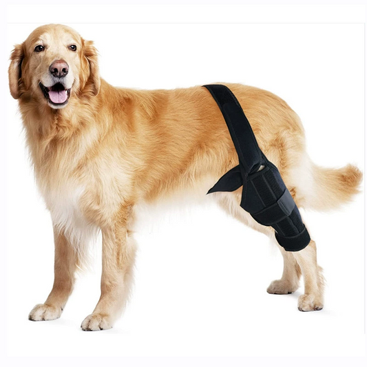 Dog Knee and Joint Support Brace for Injury and Rehabilitation