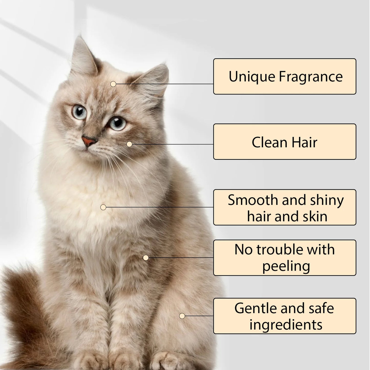 Pet Shampoo – Anti-Mite, Flea & Odor Removal, Softening Formula for Dogs & Cats