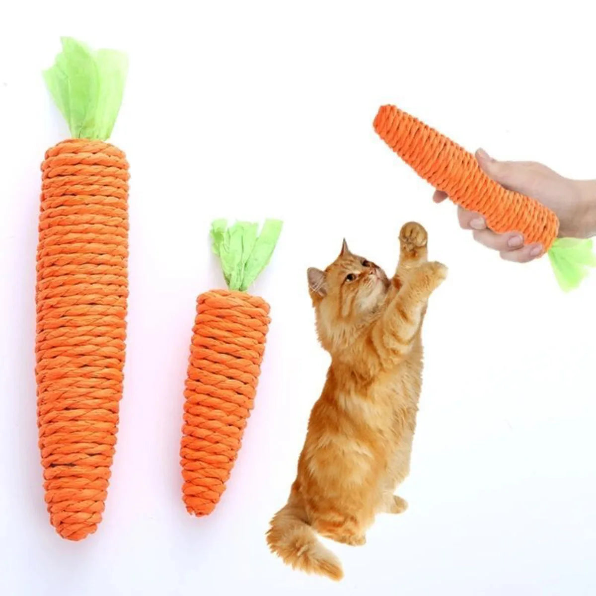 Carrot sisal pet toy 