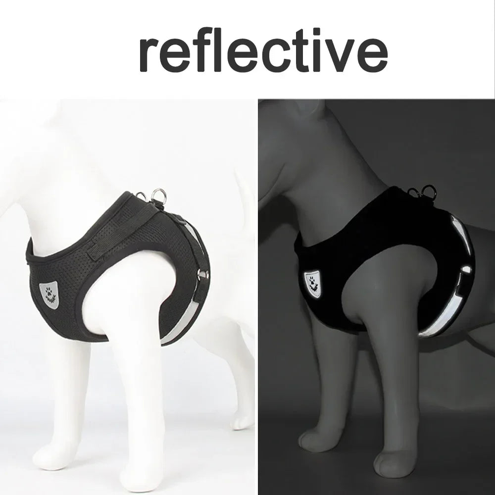 Reflective dog harness 