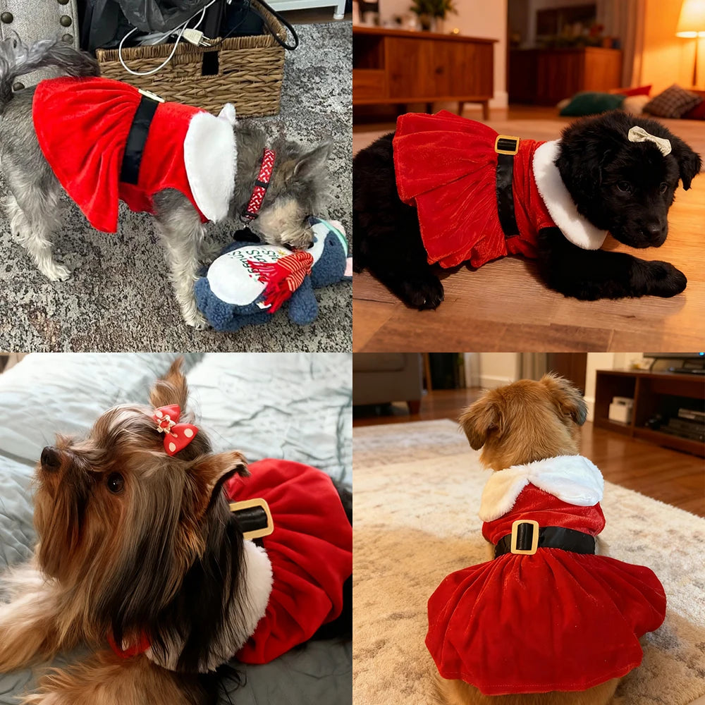 Christmas Pet Dress – Red Princess Costume for Small Dogs & Cats, S–XL