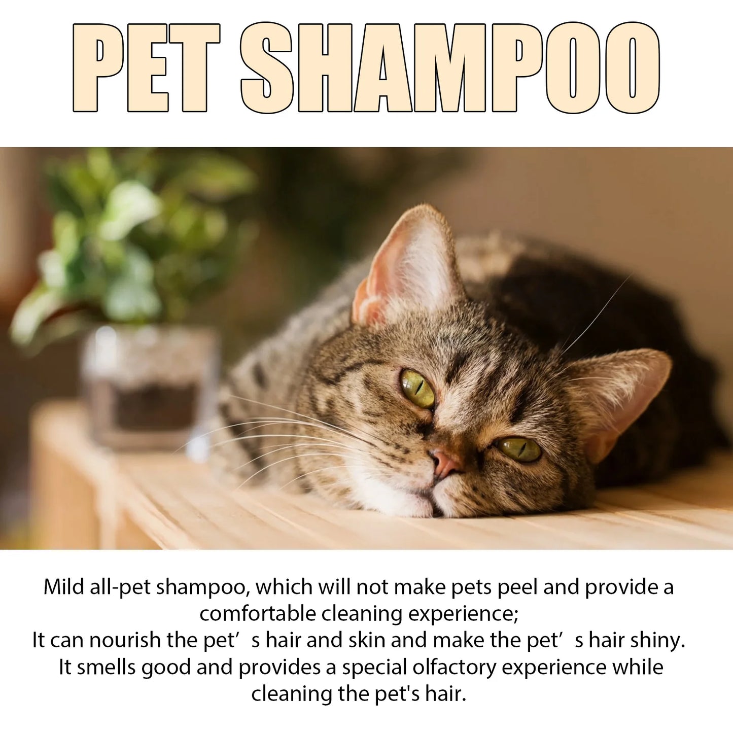 Pet Shampoo – Anti-Mite, Flea & Odor Removal, Softening Formula for Dogs & Cats