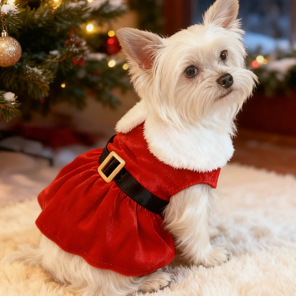 Christmas Pet Dress – Red Princess Costume for Small Dogs & Cats, S–XL
