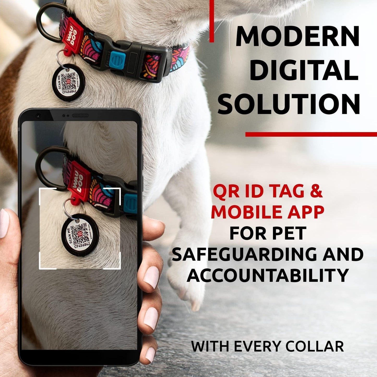 Adjustable Nylon Dog Collar with QR ID Tag