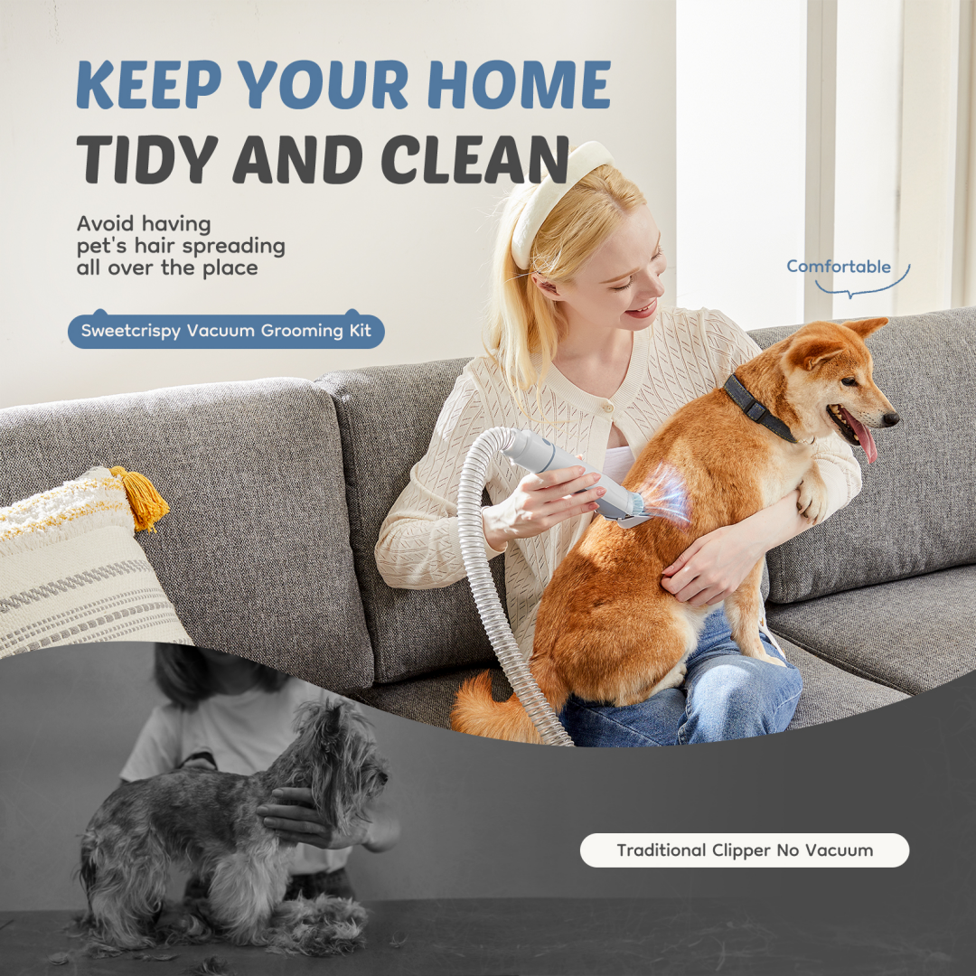 Grooming vacuum in use on dog