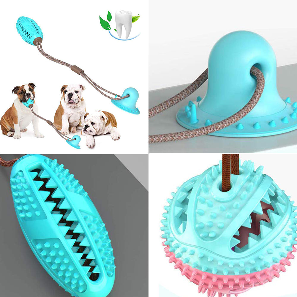 Dog chewing on silicone dental toy attached to suction cup