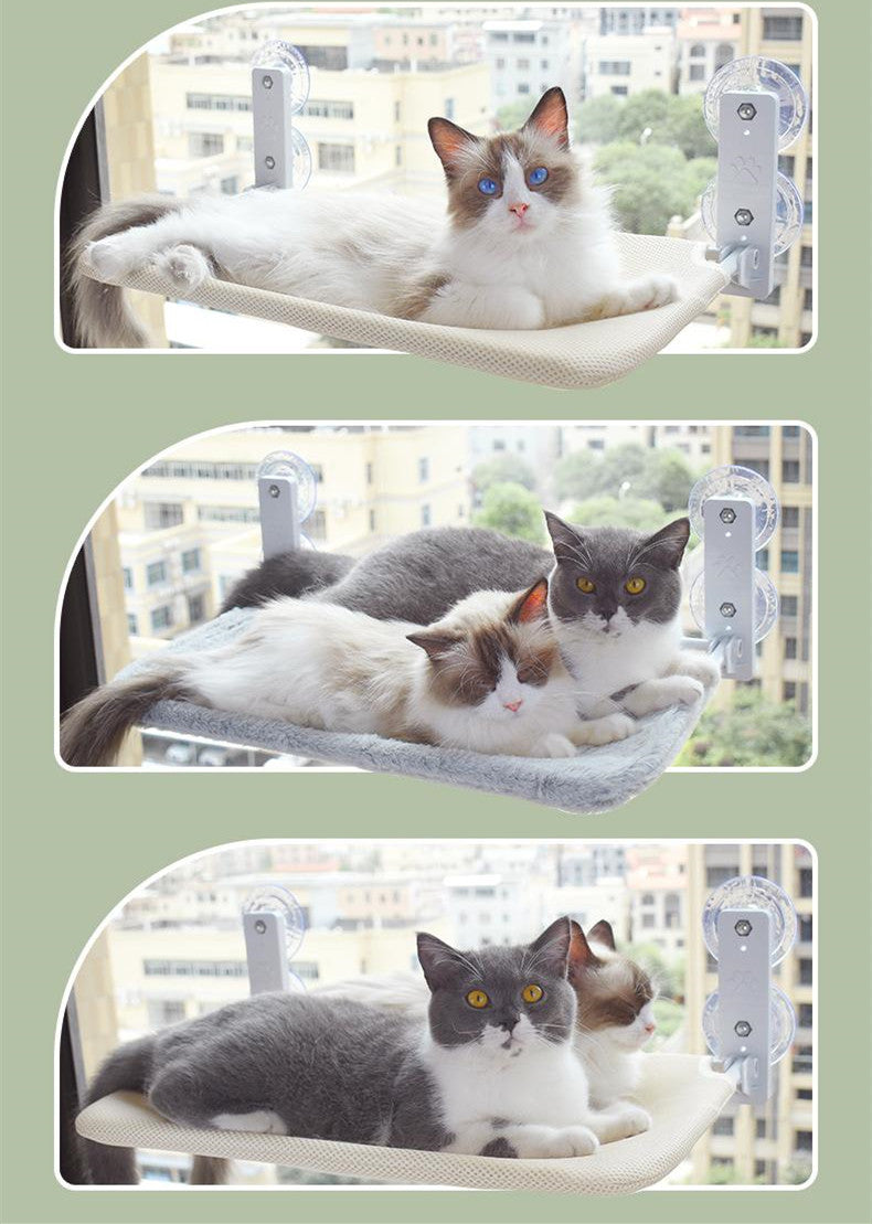 Indoor cat sunbathing on window hammock perch