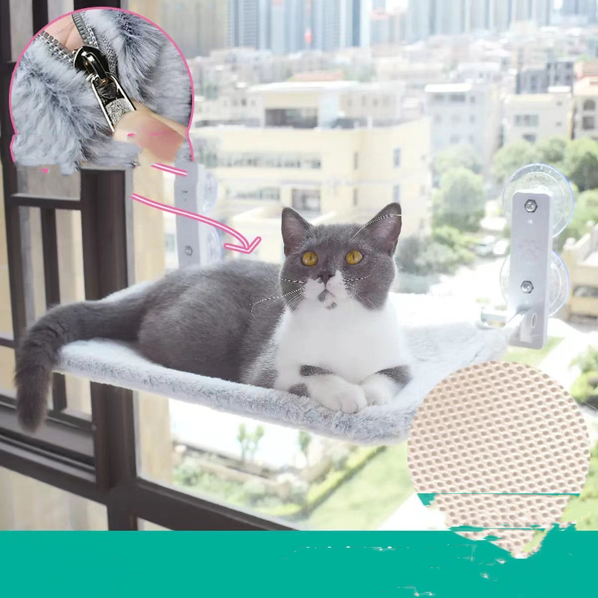 Cat relaxing on suction cup window hammock in sunlight