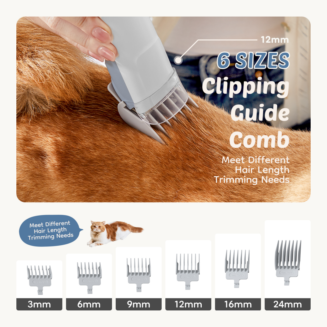 Grooming vacuum dust cup