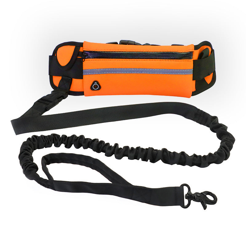 Hands-Free Bungee Waist Dog Leash