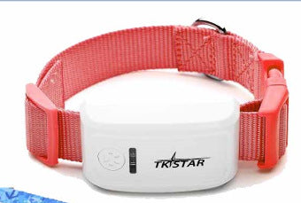 Real-Time Pet GPS Tracker