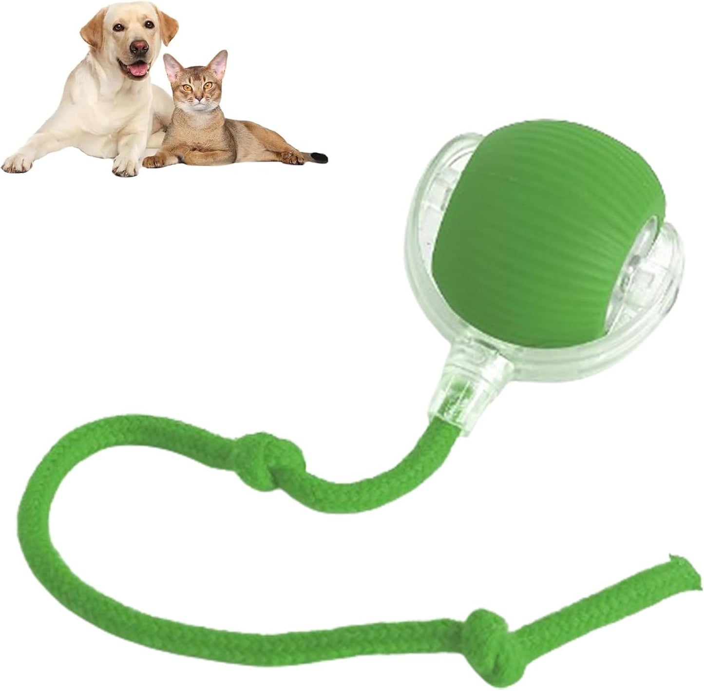 Chase & Fetch Rope Ball Toy