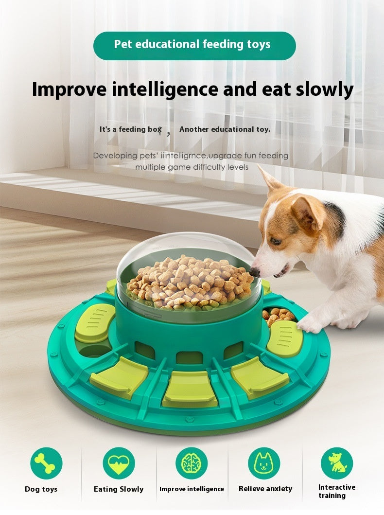 Multi-Level IQ Puzzle Slow Feeder